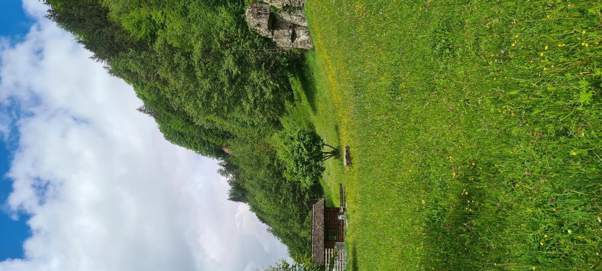 Haus Stehbock Villa Partenen Buitenkant foto